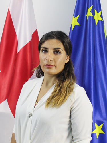ნინო გიორგაძე